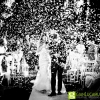 fotografo-matrimonio-palazzo-de-rossi-bologna_DM_0423-2_0493
