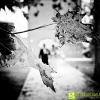 fotografo-matrimonio-rimini-gianluca-mulazzani_14
